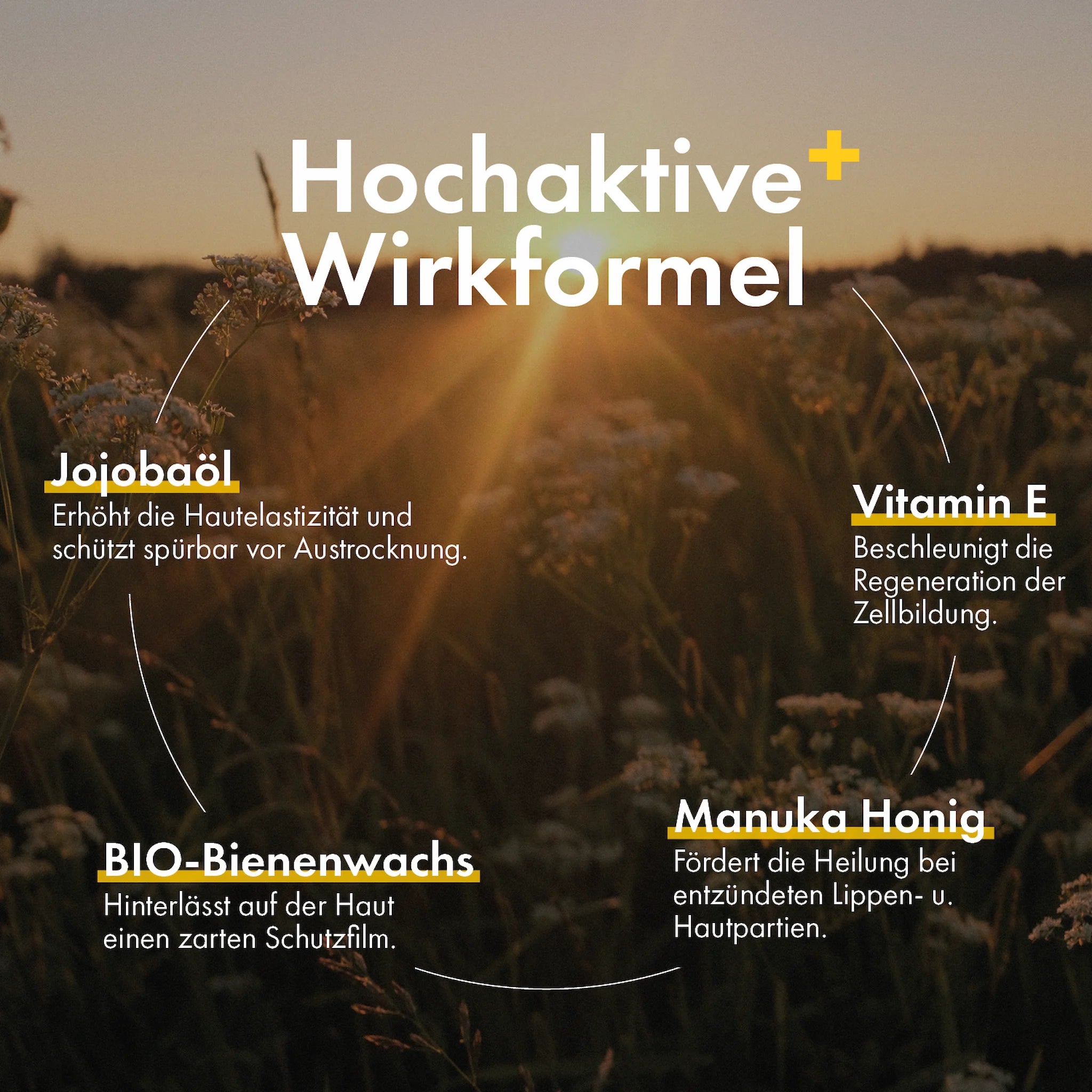 Manuka Honig Lippenbalsam